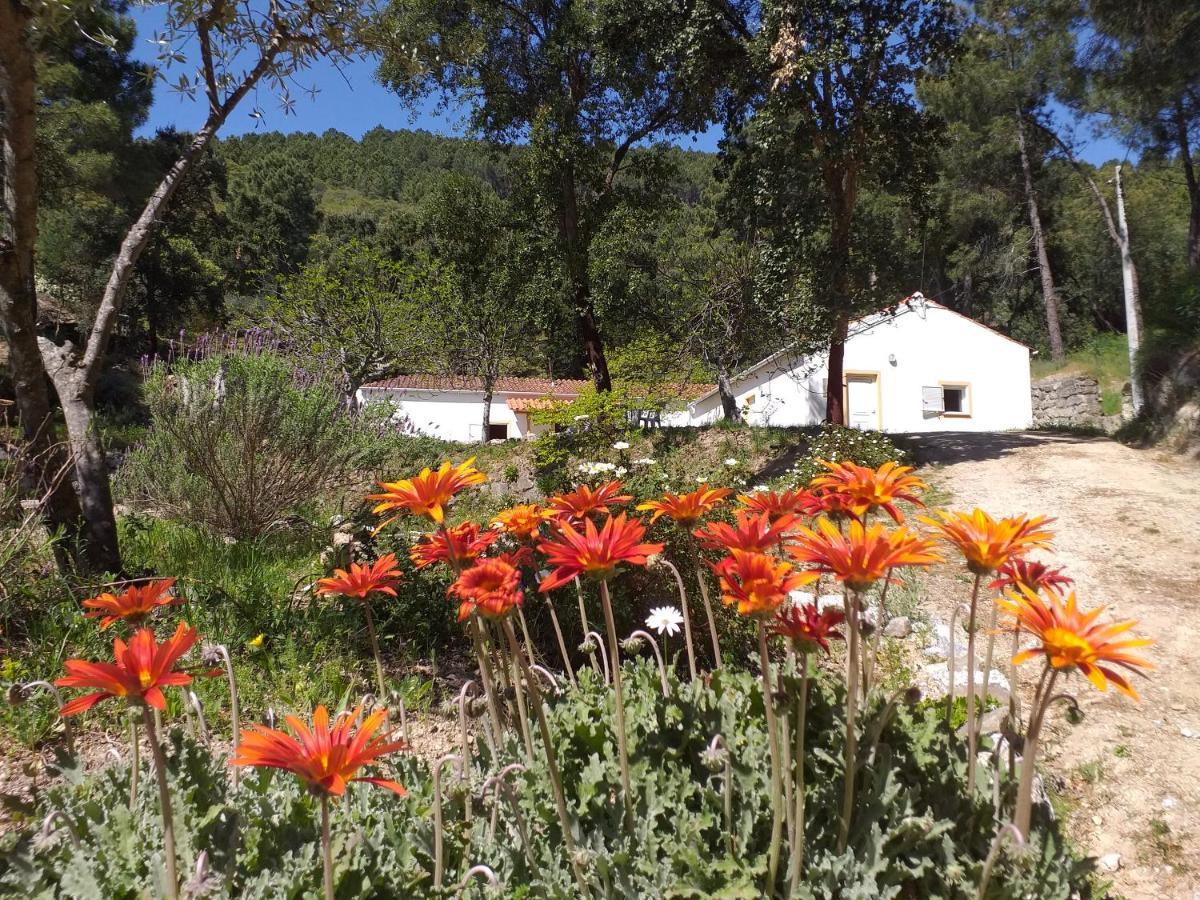 Quinta Da Barroquinha Vendégház Vale de Prazeres Kültér fotó