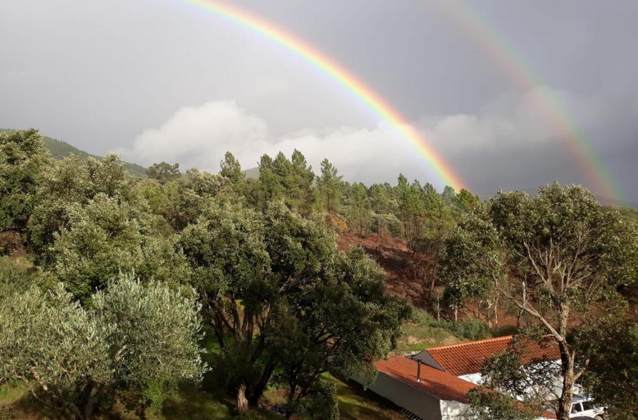 Quinta Da Barroquinha Vendégház Vale de Prazeres Kültér fotó
