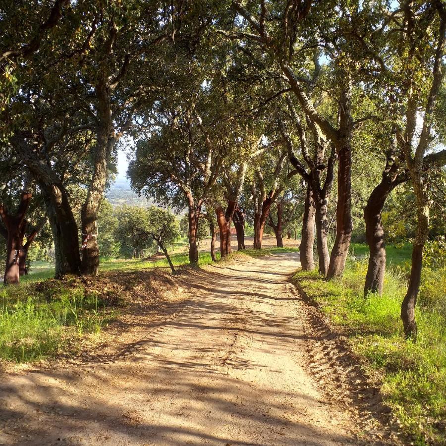 Quinta Da Barroquinha Vendégház Vale de Prazeres Kültér fotó