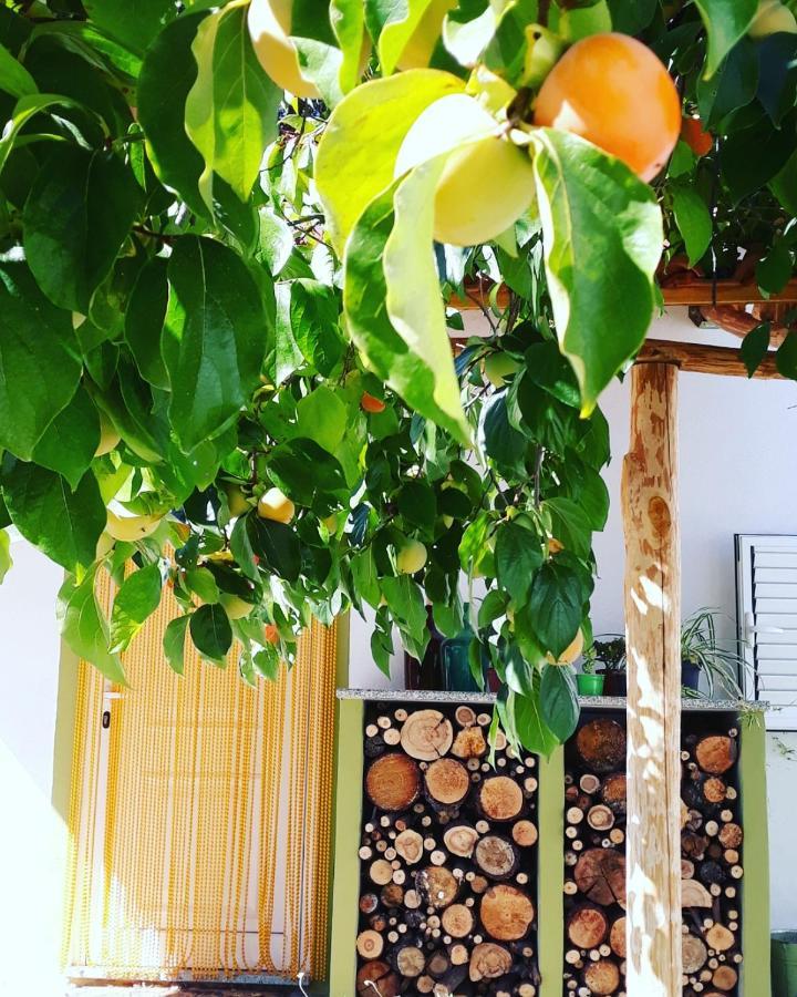 Quinta Da Barroquinha Vendégház Vale de Prazeres Kültér fotó